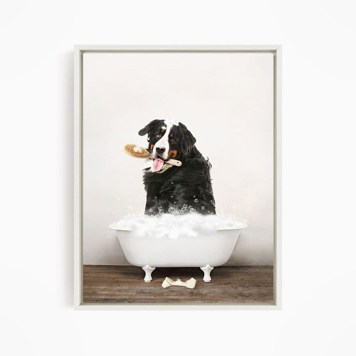 Bernese Mountain Dog in Rustic Bath Style Lots of Foamy Bubbles