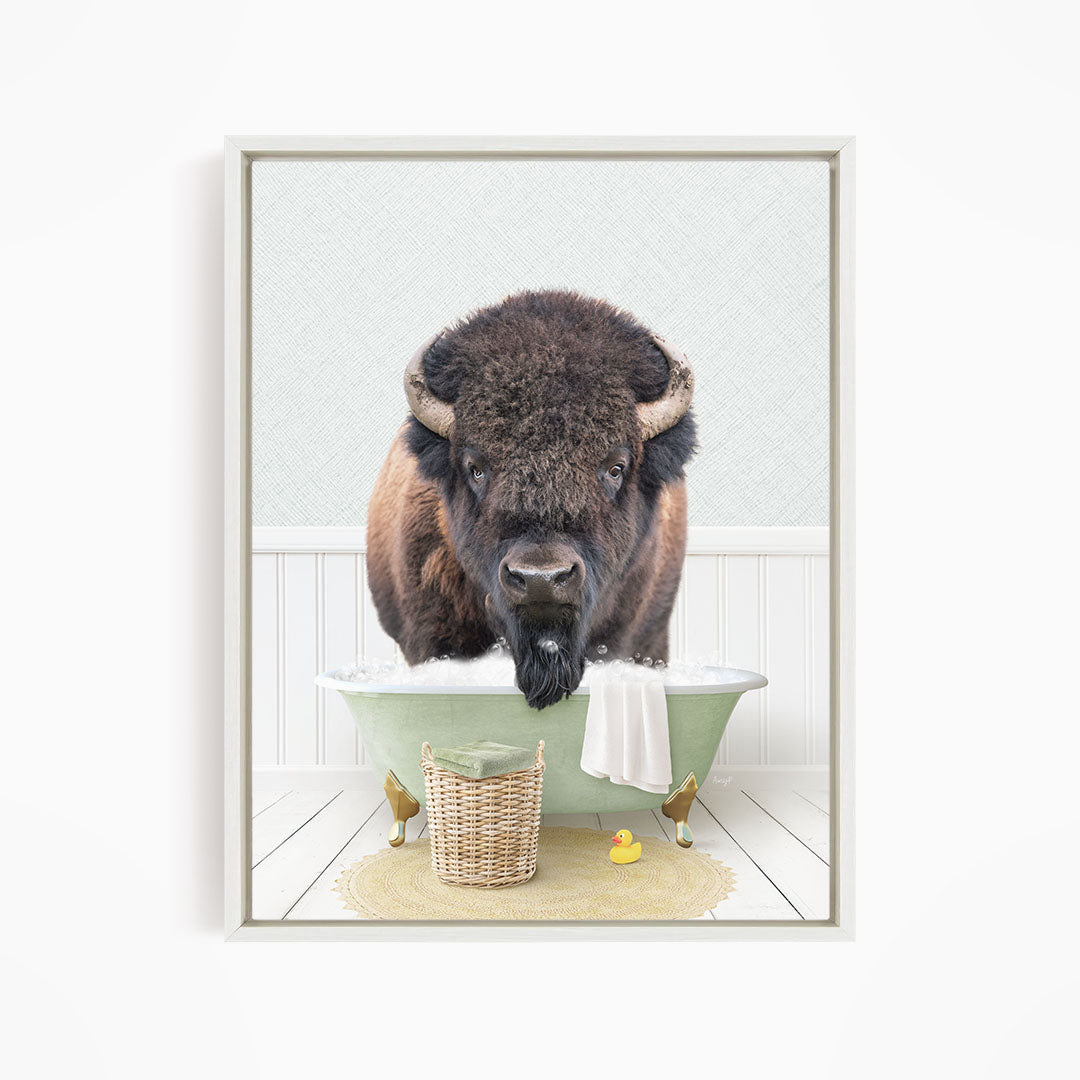 Bison in Cottage Green Bath