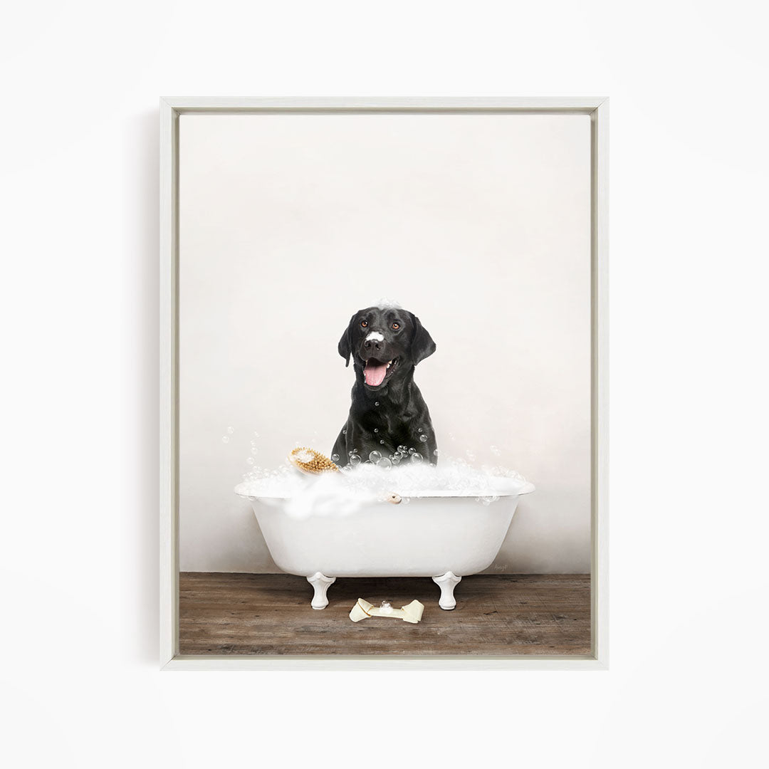 Black Lab in Rustic Bath Style Lots of Foamy Bubbles