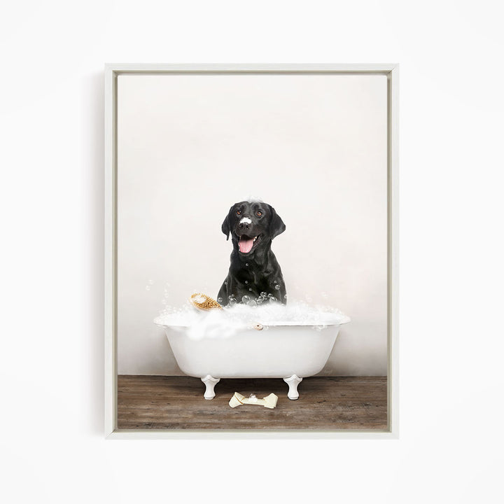 Black Lab in Rustic Bath Style Lots of Foamy Bubbles