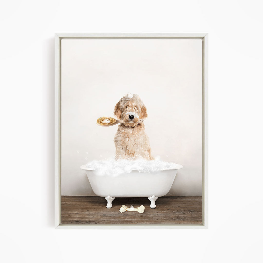 Blonde Labradoodle in Rustic Bath Style Lots of Foamy Bubbles