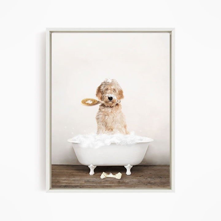 Blonde Labradoodle in Rustic Bath Style Lots of Foamy Bubbles