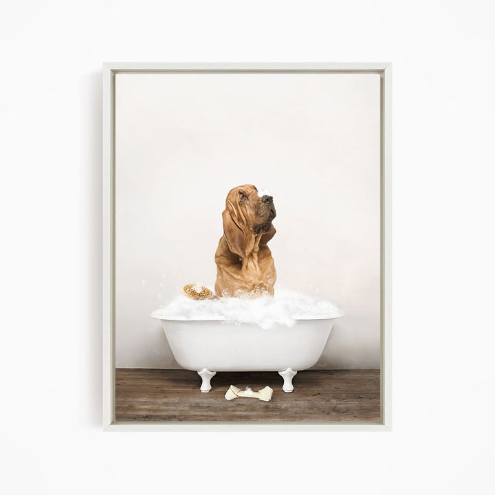 Bloodhound in Rustic Bath Style Lots of Foamy Bubbles