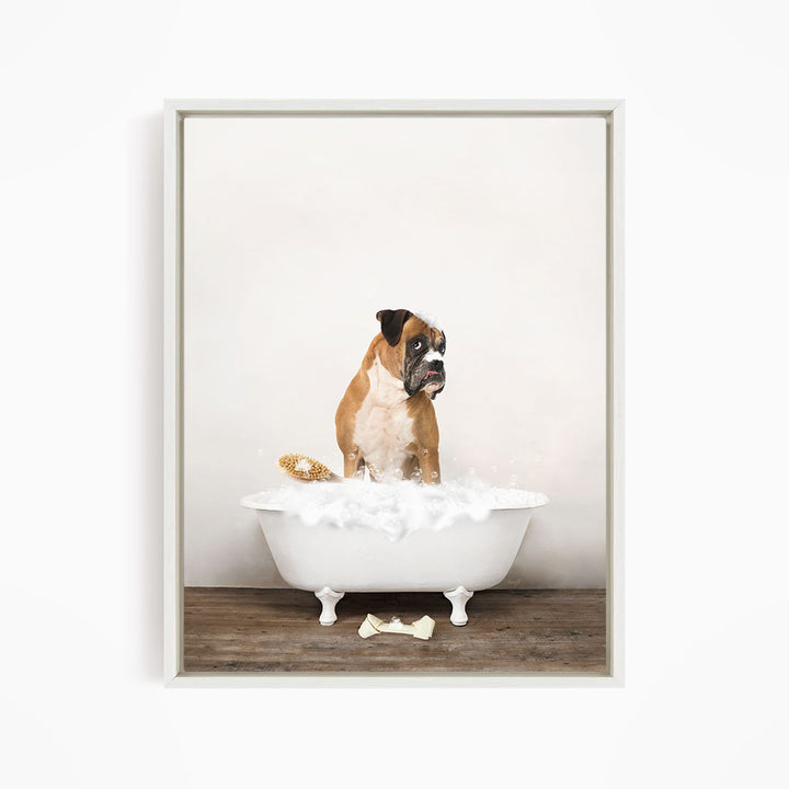 German Boxer in Rustic Bath Style Lots of Foamy Bubbles
