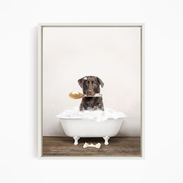 Chocolate Lab in Rustic Bath Style Lots of Foamy Bubbles
