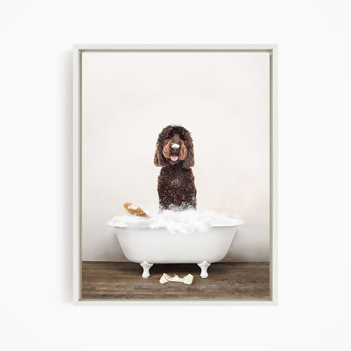 Chocolate Labradoodle in Rustic Bath Style Lots of Foamy Bubbles