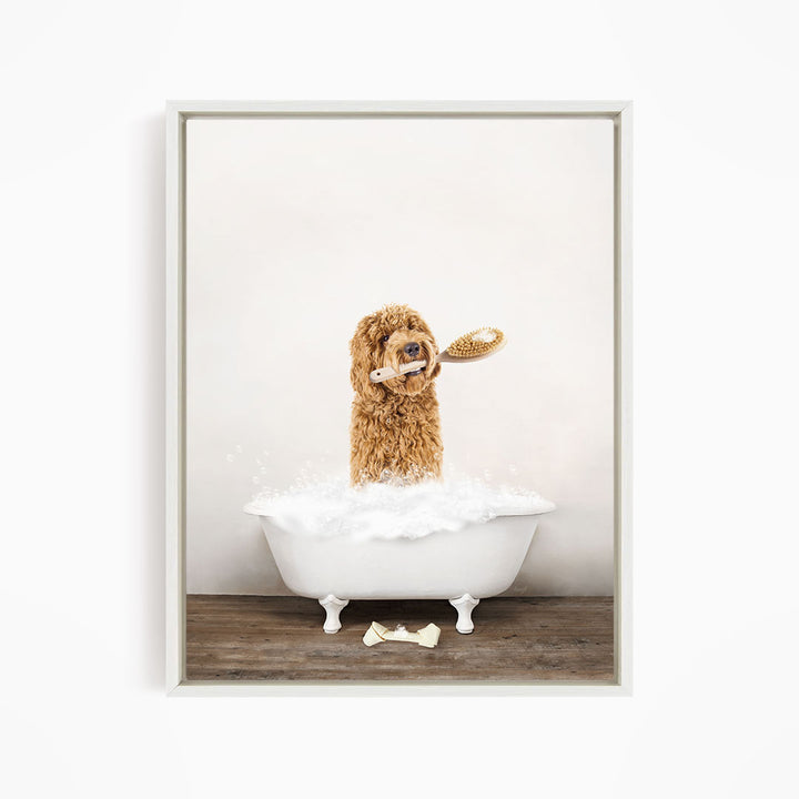 Golden Labradoodle in Rustic Bath Style Lots of Foamy Bubbles