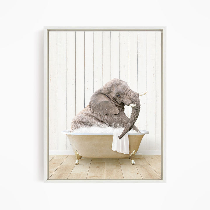 Young Elephant in Farmhouse Bath