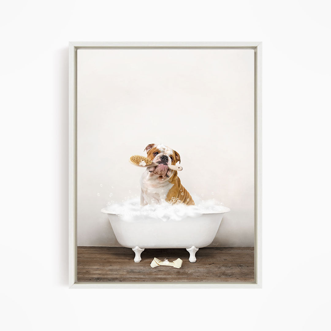 English Bulldog in Rustic Bath Style Lots of Foamy Bubbles