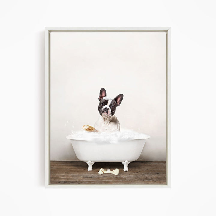 French Bulldog in Rustic Bath Style Lots of Foamy Bubbles