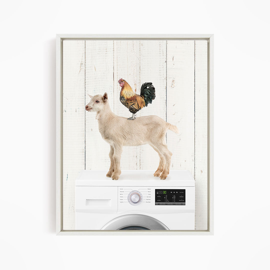 Goat and Rooster On Washing Machine - Farmhouse Wall