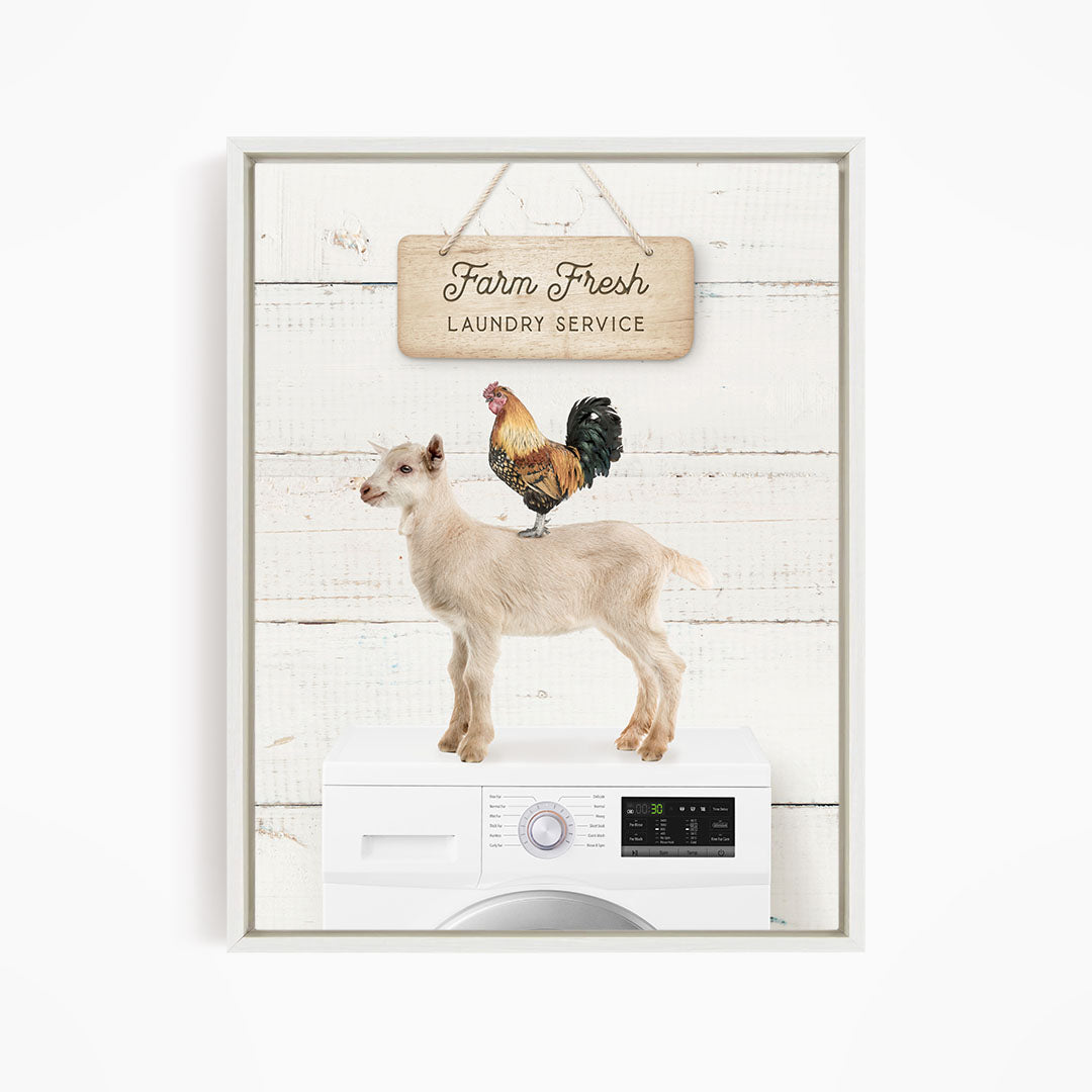 Farm Fresh Laundry Service - Farmhouse Wall Funny Sayings