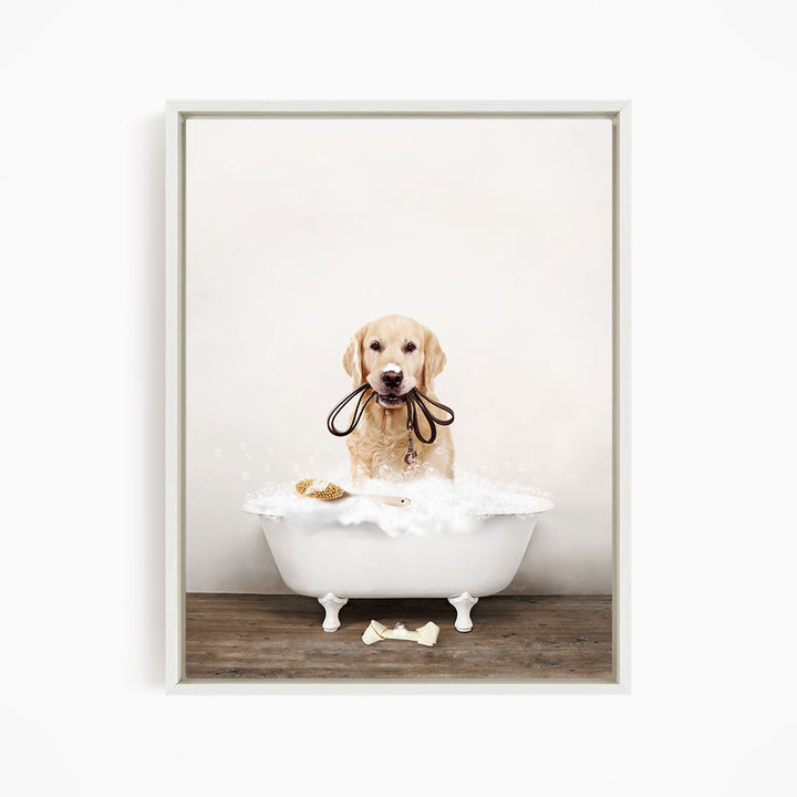 Golden Retriever in Rustic Bath Style Lots of Foamy Bubbles
