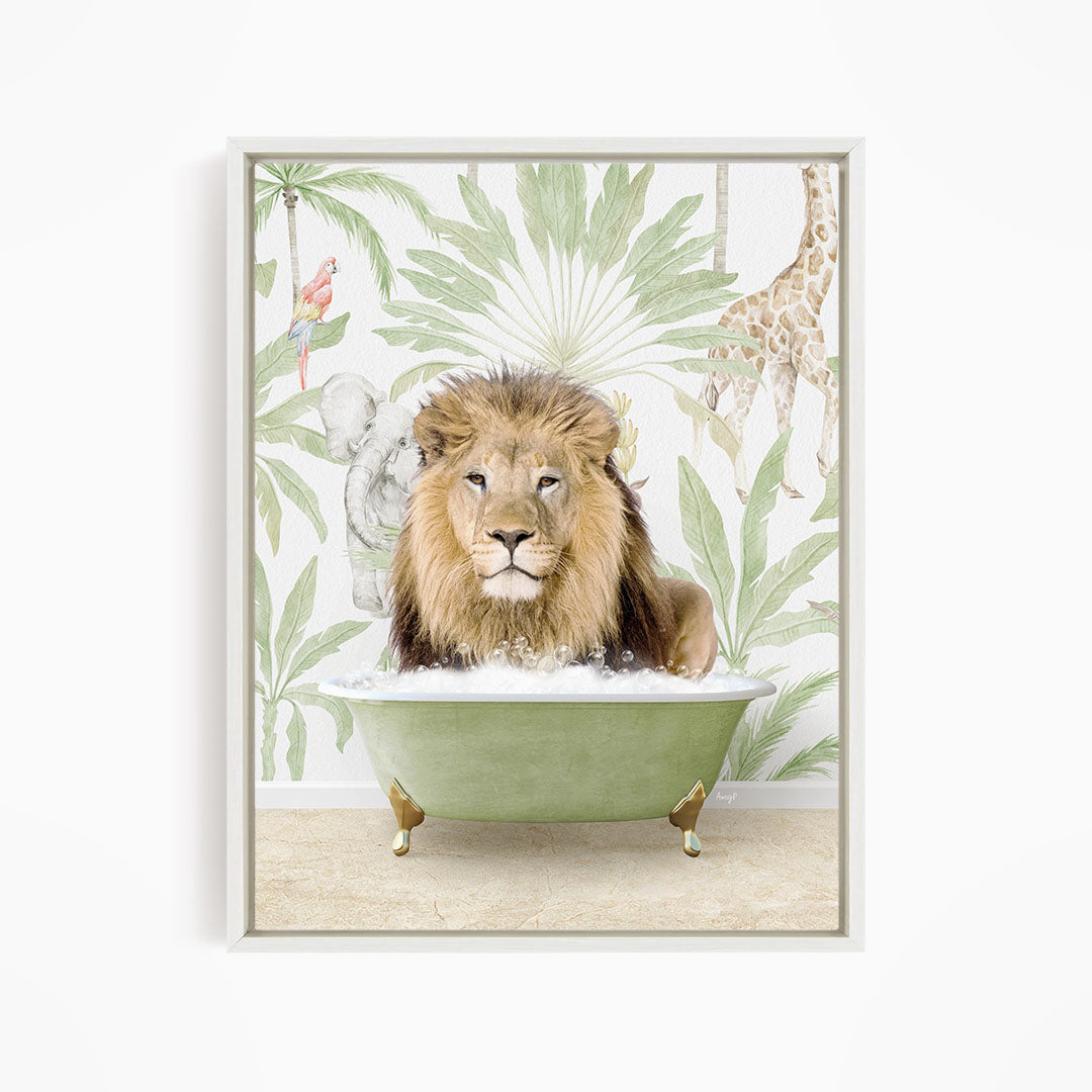 Male Lion in Safari Bath
