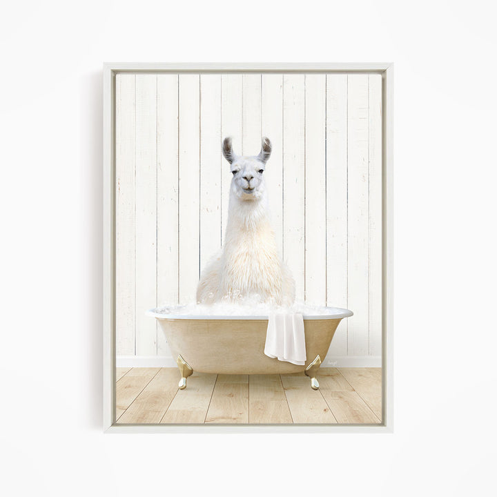 Llama in Farmhouse Bath