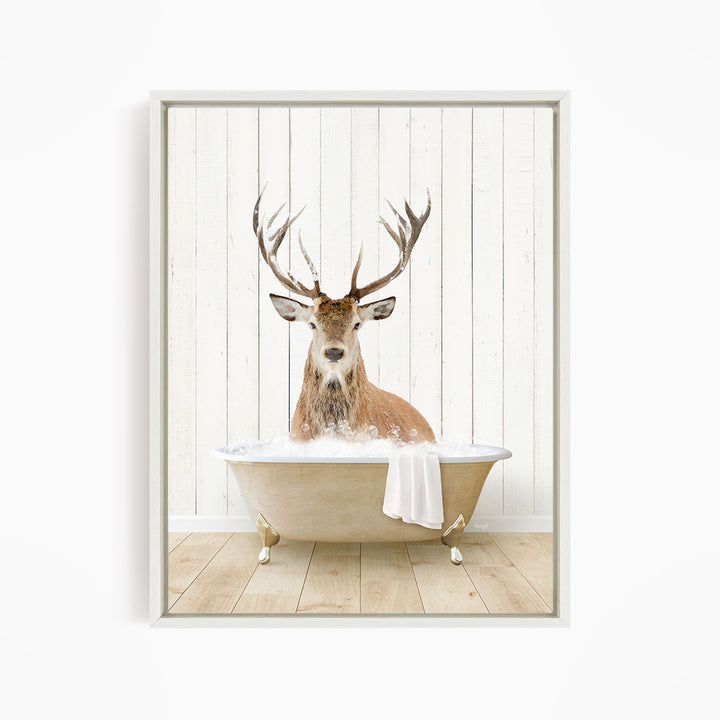 Male Deer in Farmhouse Bath