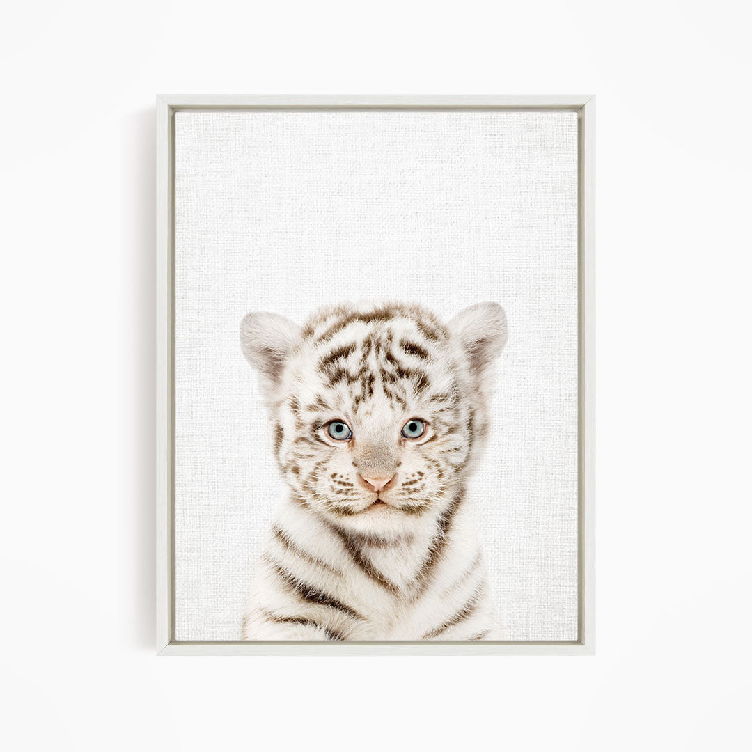 A young tiger cub with striking blue eyes and a playful expression is the focal point of the image.