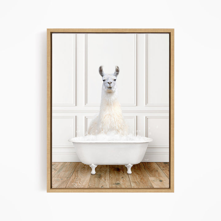 A white llama sitting in a white bathtub filled with bubbles, creating a whimsical and playful scene.