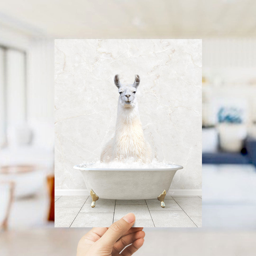 A white llama sitting in a white bathtub filled with bubbles, with a blurred background suggesting a bathroom setting.