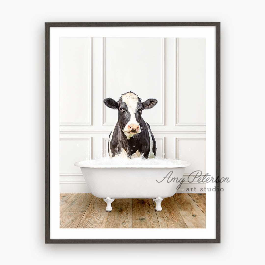 a black and white cow sitting in a bathtub