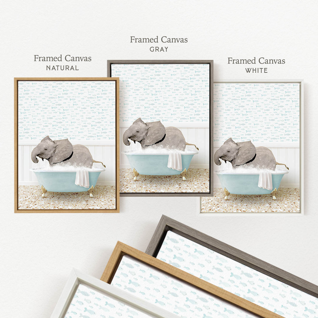 three framed pictures of elephants in bathtubs, each with a different color frame.
