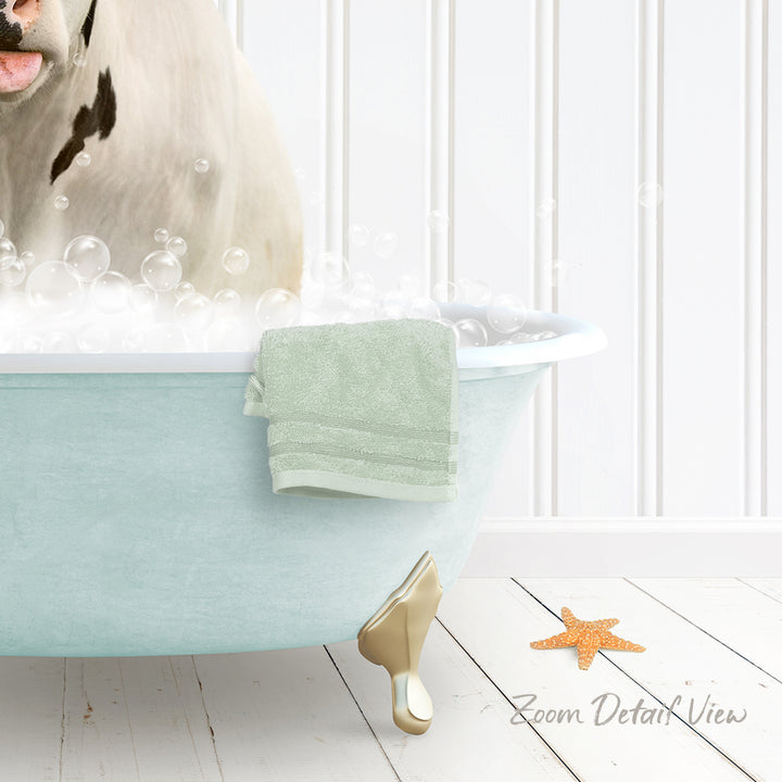 A white dog is sitting in a light blue bathtub filled with bubbles, with a towel and starfish nearby.