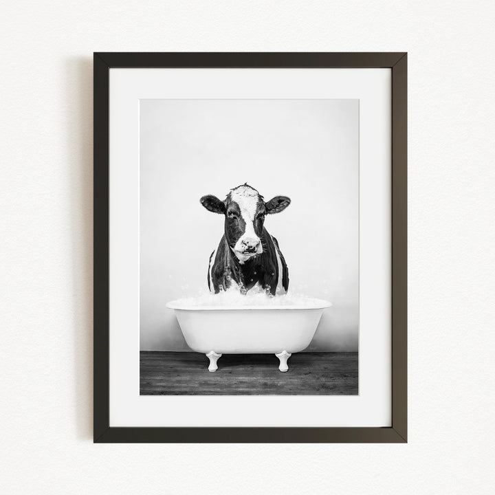 A black and white photograph of a cow standing in a bathtub filled with water.