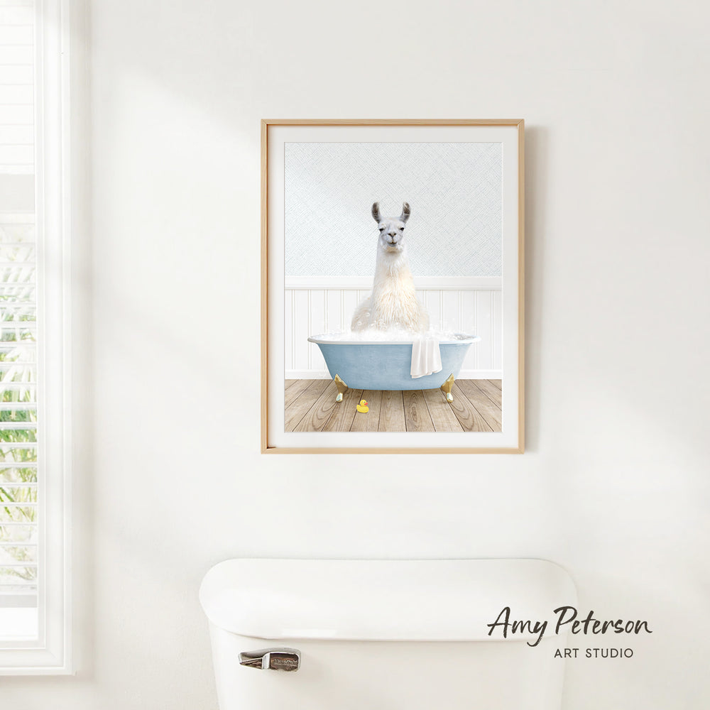A framed image of a white llama sitting in a blue bathtub, with a wooden floor and a window in the background.