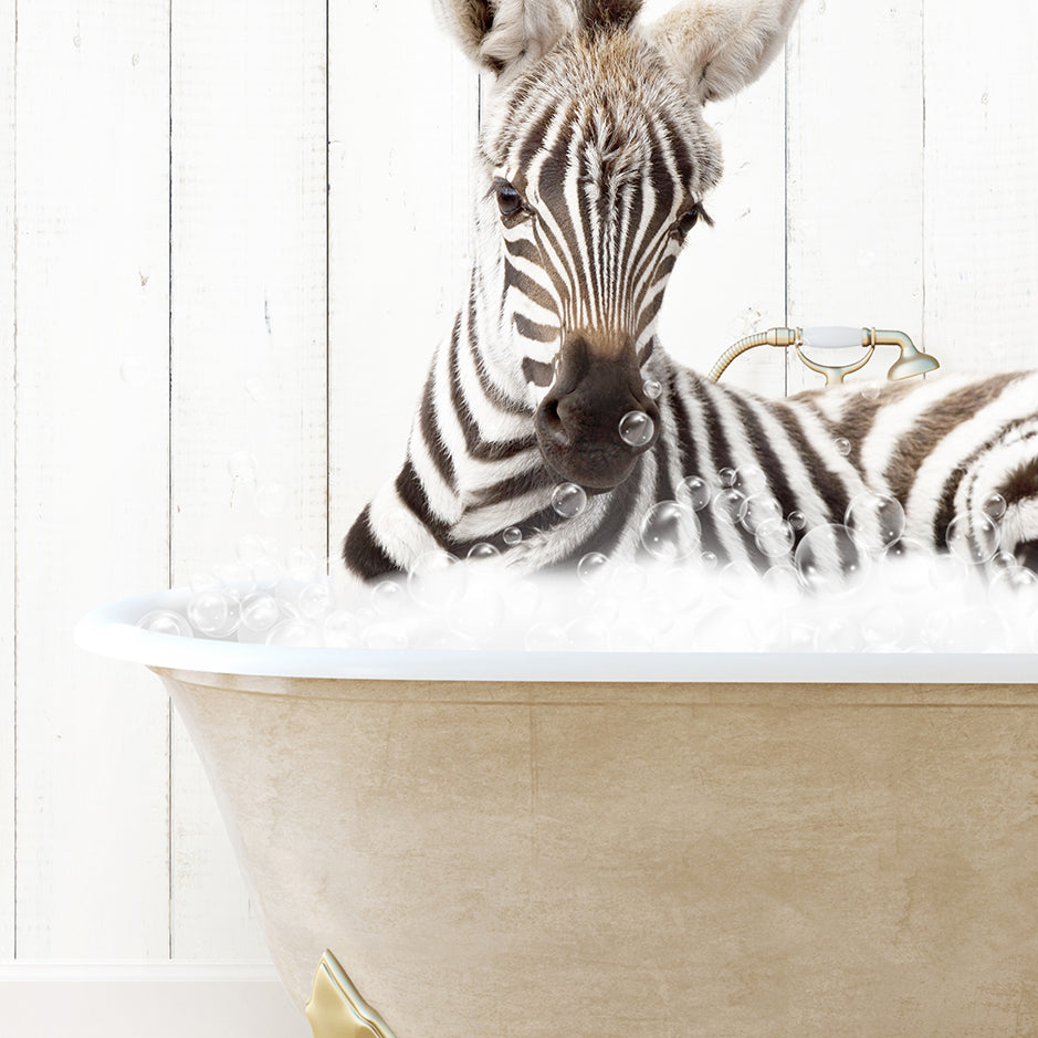 a baby zebra laying in a bath tub