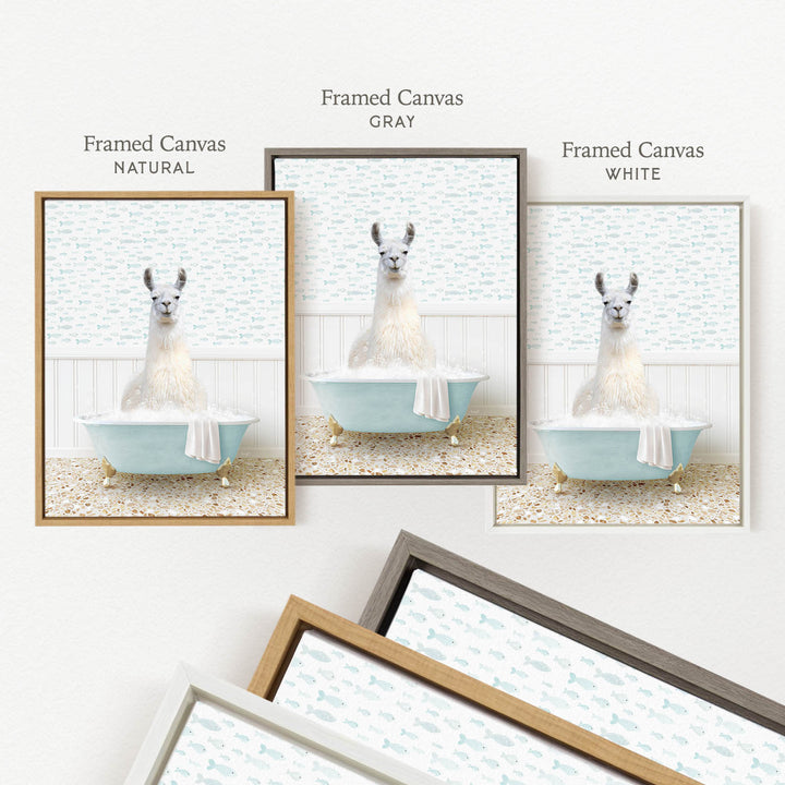 a framed picture of a llama sitting in a bathtub, with three different colored frames displayed side by side.
