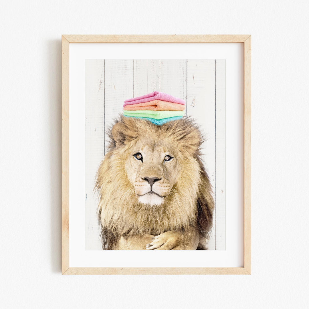 A framed photograph of a lion with a stack of colorful towels on its head.