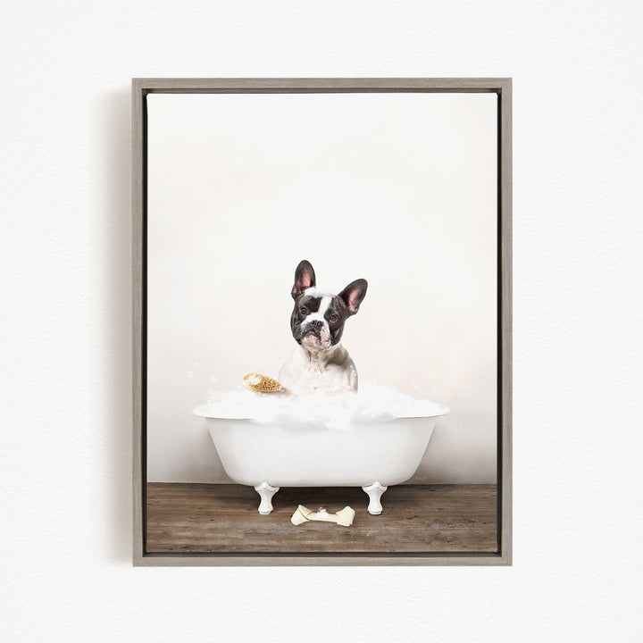 A French Bulldog sitting in a white bathtub filled with bubbles, looking directly at the camera.