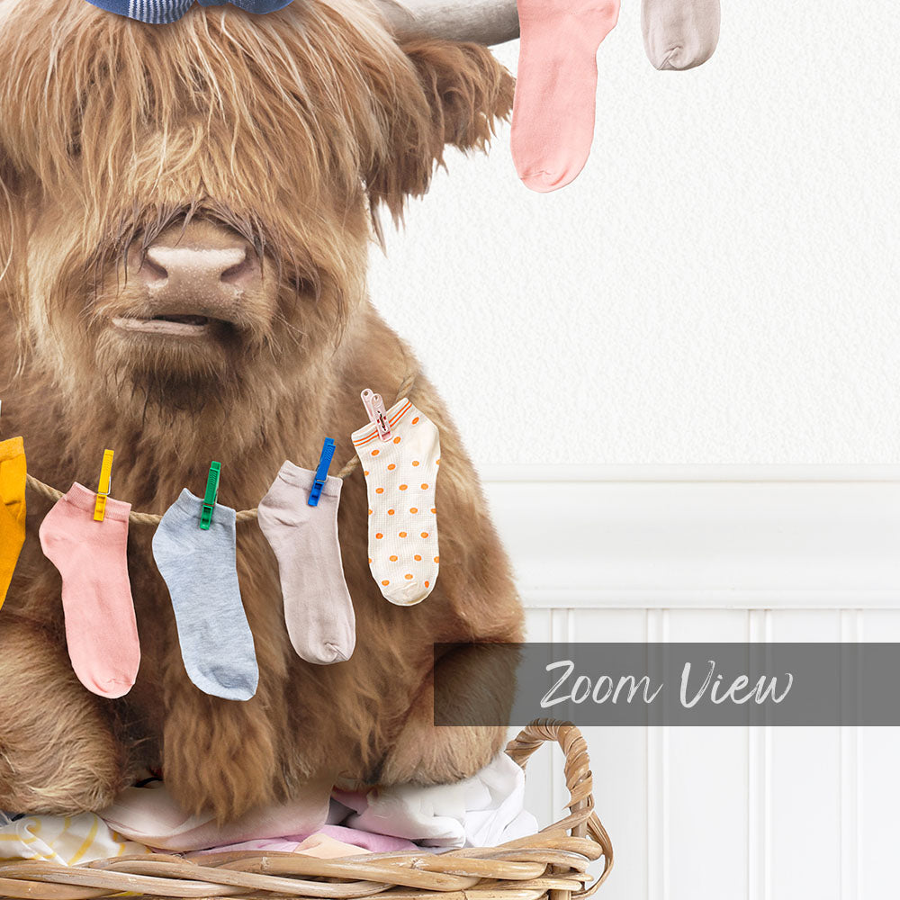 A large, furry animal, possibly a yak or a cow, is sitting on a clothesline with colorful socks hanging from it.