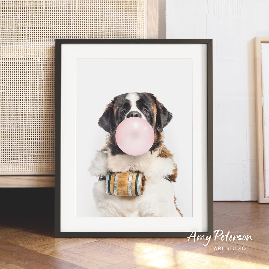A framed photograph of a Saint Bernard dog blowing a bubble with a bubble gum bubble wand.