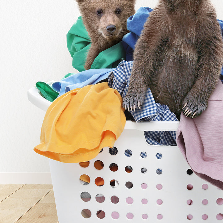 two brown bears sitting in a laundry basket