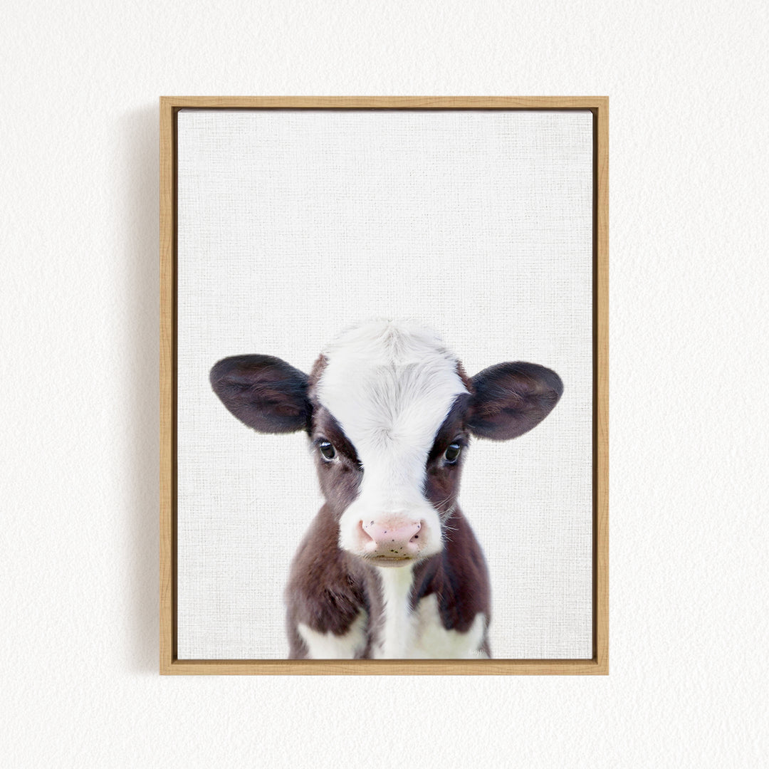 A framed image of a black and white cow with a pink nose, looking directly at the camera.
