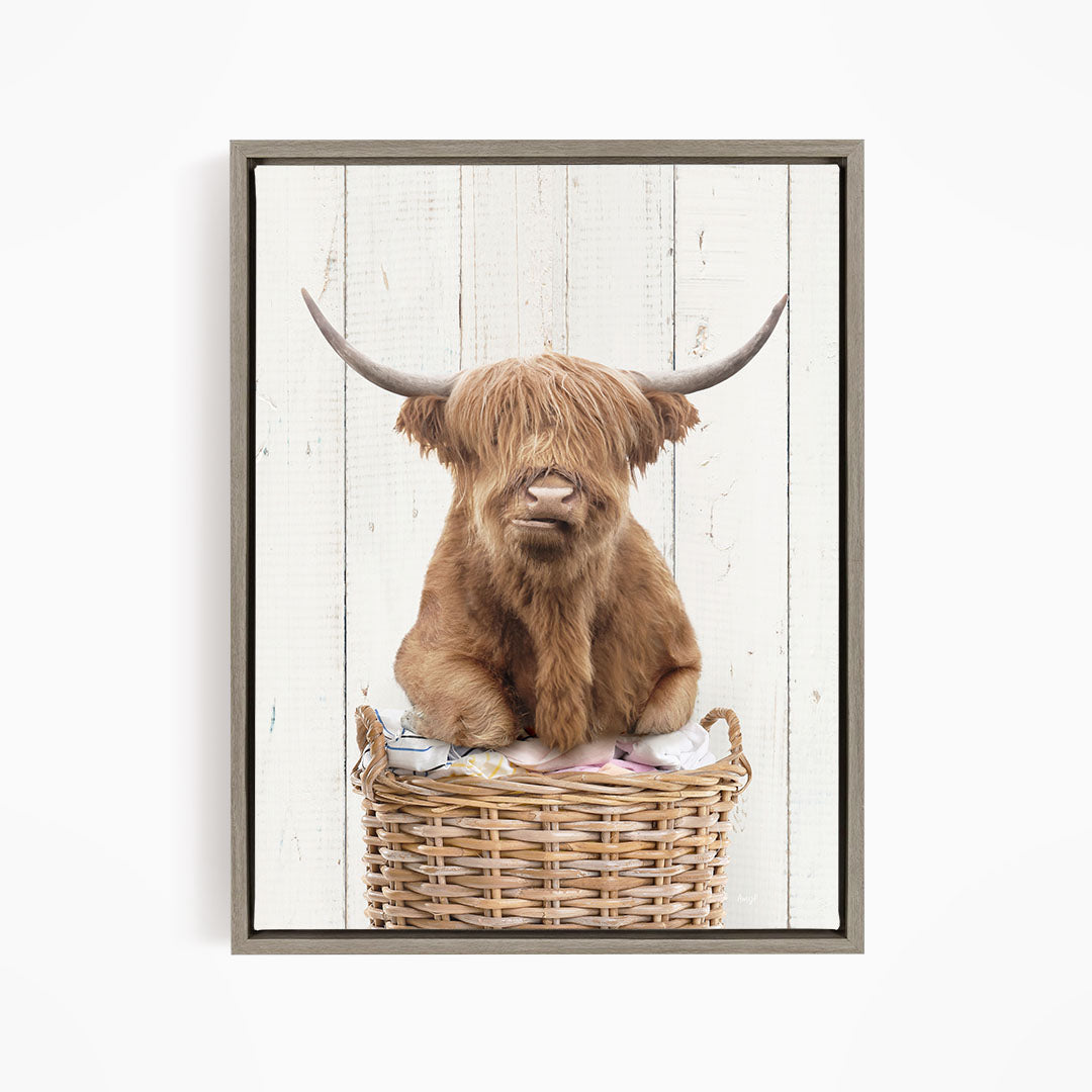A Highland cow with shaggy brown hair sits in a wicker basket against a white wooden background.