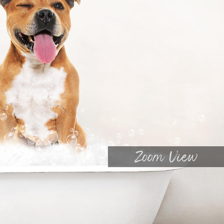 A happy brown and white dog sitting in a bathtub filled with bubbles, with the word "Zoom View" written on the side.