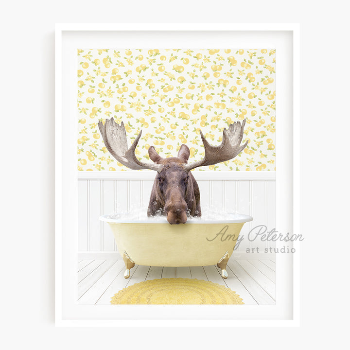 a moose is sitting in a bath tub