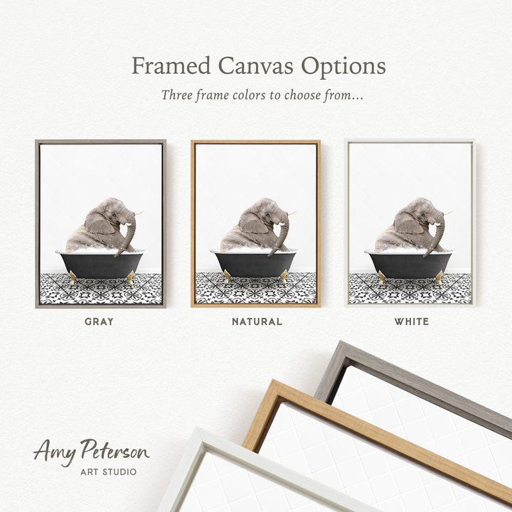 The image is a framed canvas option showcasing three different frame colors: gray, natural, and white. The canvas features a gray elephant sitting in a bathtub, with the text " Framed Canvas Options" and "Three frame colors to choose from..." displayed above the images.