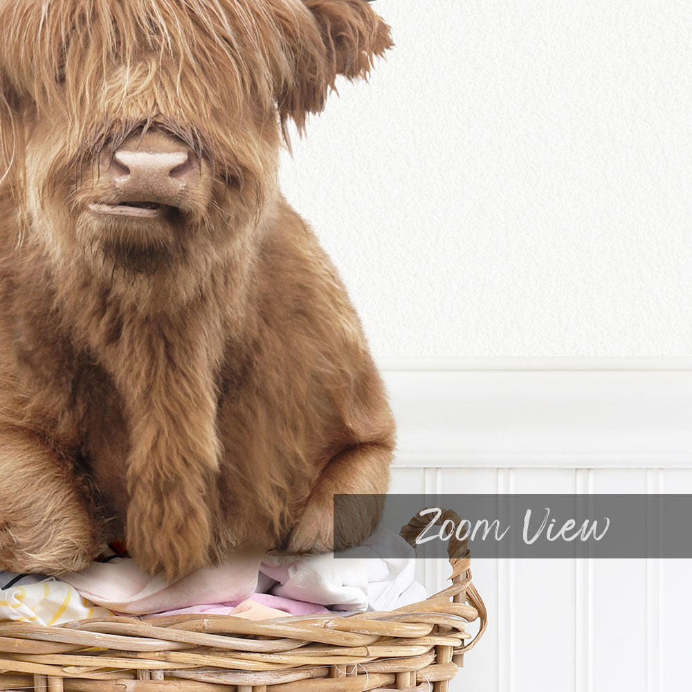 A close-up image of a shaggy, brown animal, possibly a yak or a similar type of livestock, sitting in a wicker basket.