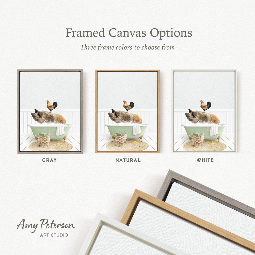 three framed canvas options, each featuring a different color: gray, natural, and white. The text above the images reads " Framed Canvas Options" and "Three frame colors to choose from...". The bottom of the image includes the text " Amy Peterson ART STUDIO".