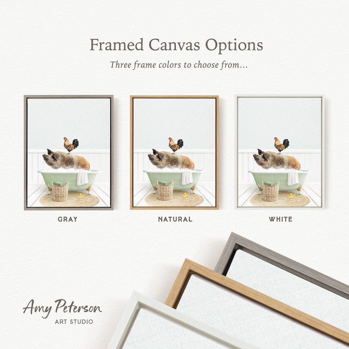 three framed canvas options, each featuring a different color: gray, natural, and white. The text above the images reads " Framed Canvas Options" and "Three frame colors to choose from...". The bottom of the image includes the text " Amy Peterson ART STUDIO".