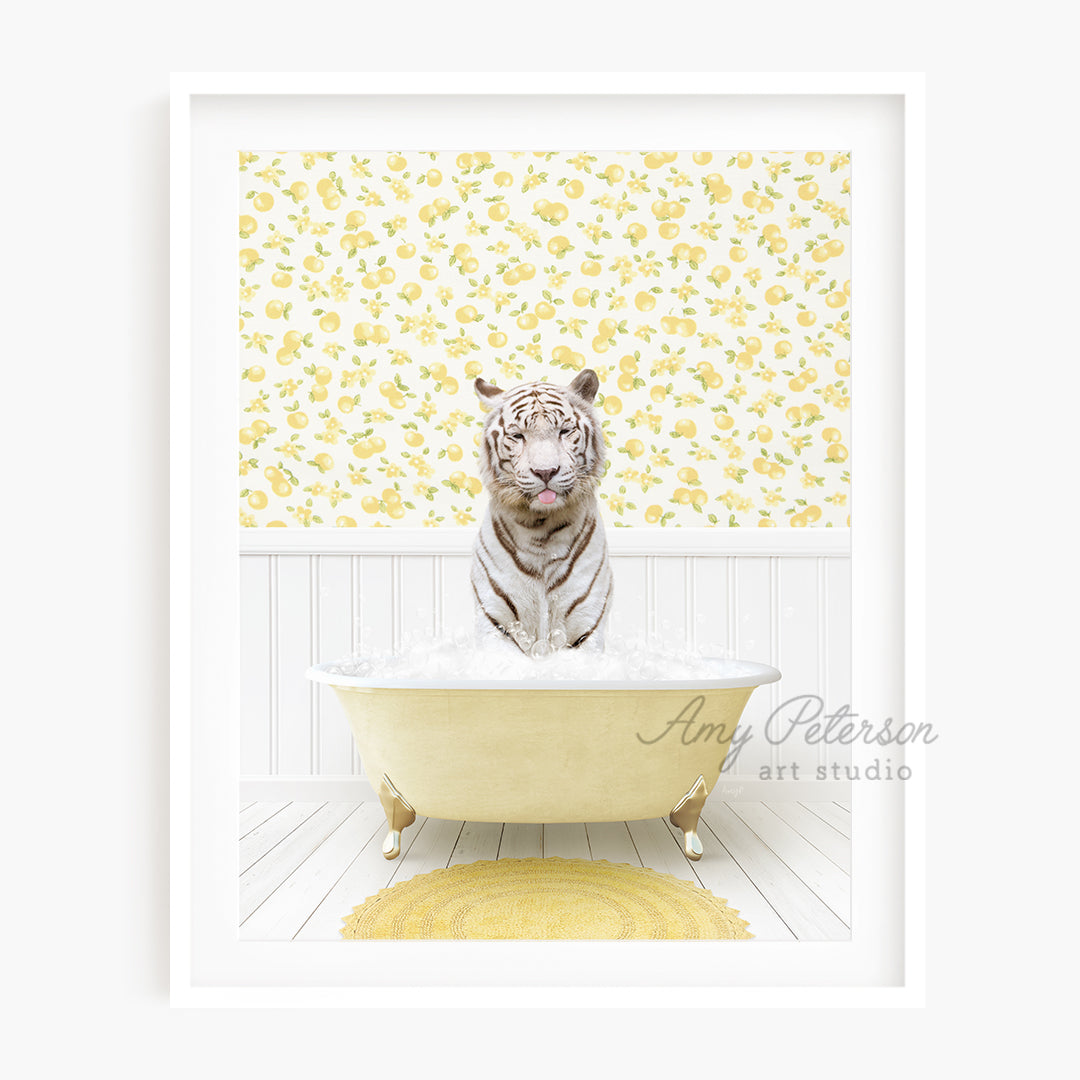 a white tiger sitting in a bath tub