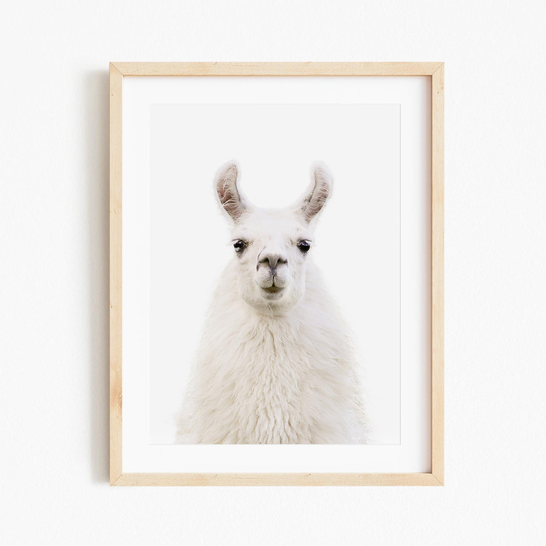 a picture of a llama in a wooden frame