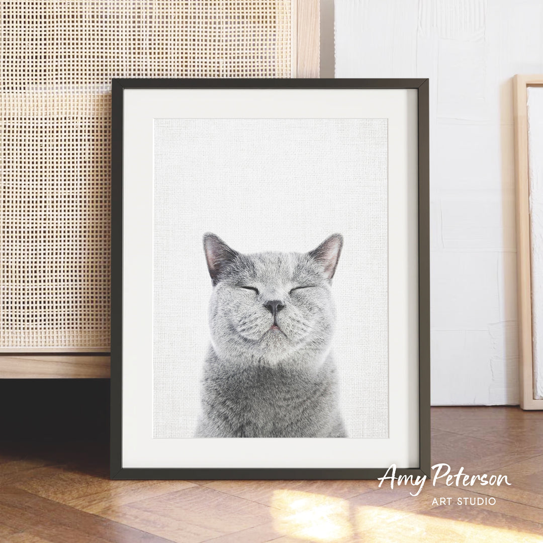 A framed photograph of a gray cat with its eyes closed, sitting on a wooden floor in front of a beige woven basket.