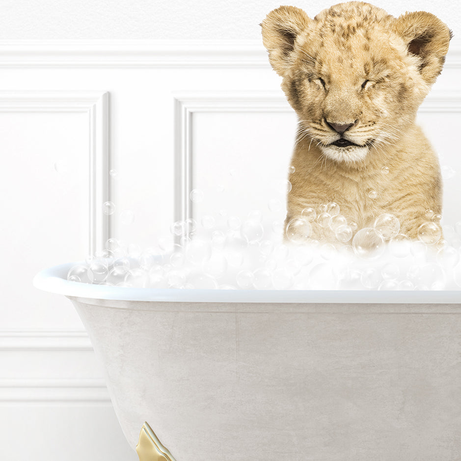 a lion cub sitting in a bathtub full of bubbles