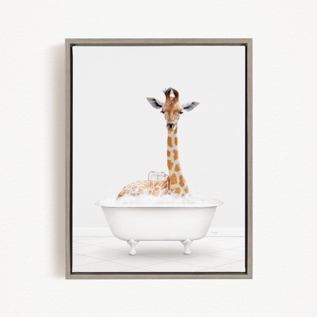 A giraffe sitting in a white bathtub filled with bubbles, looking directly at the camera.