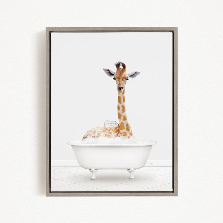 A giraffe sitting in a white bathtub filled with bubbles, looking directly at the camera.