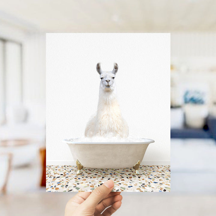 A white llama sitting in a white bathtub filled with water, with a hand holding up the image to show it.